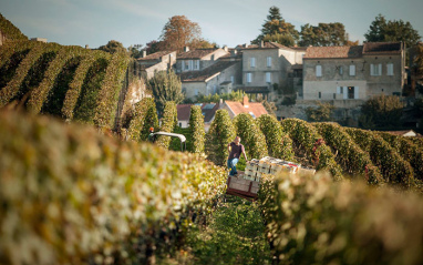 Panorámica del entorno de Château Ausone